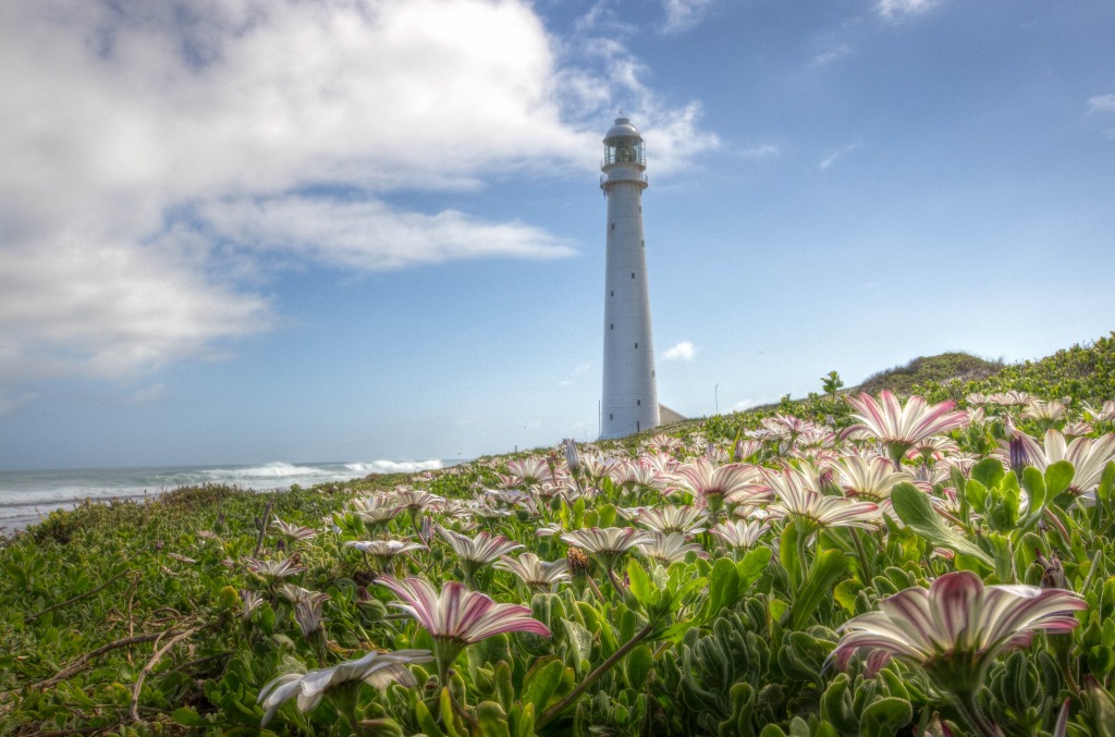 Slangkop Lighthouse near Cape Town jigsaw puzzle in Flowers puzzles on TheJigsawPuzzles.com