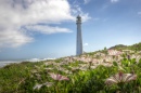 Slangkop Lighthouse near Cape Town