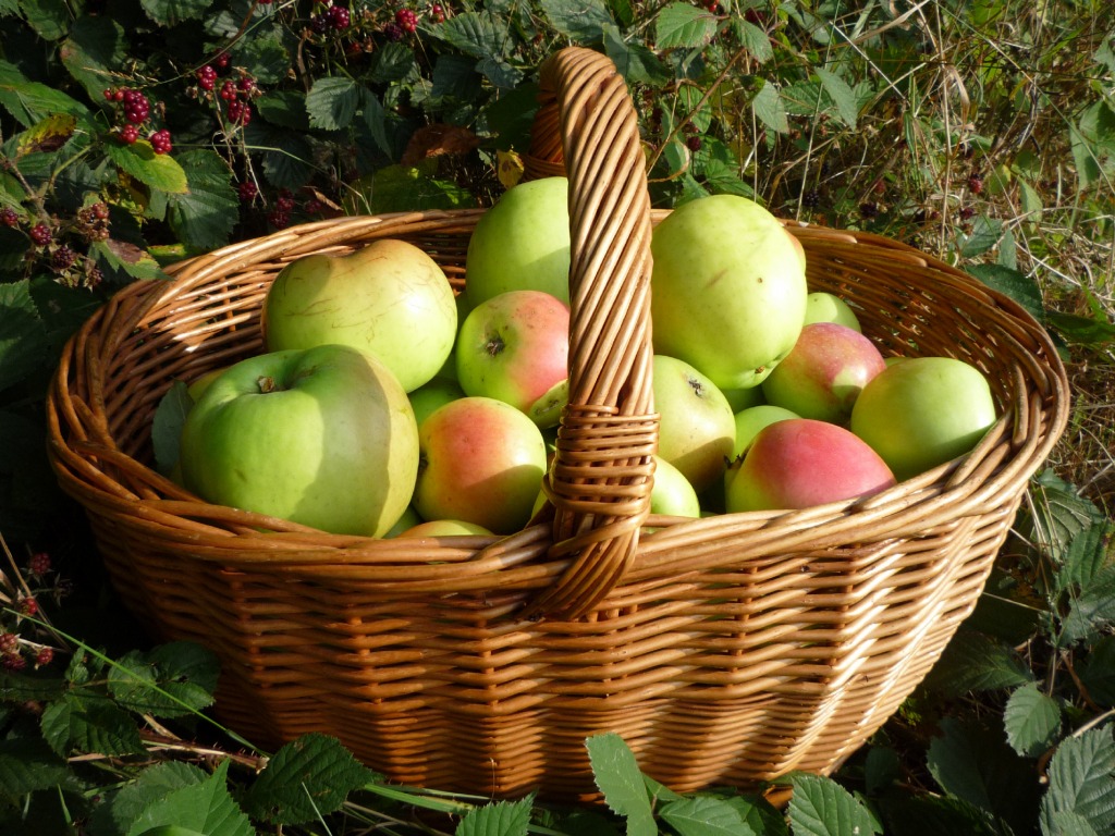 Apples in a Basket jigsaw puzzle in Fruits & Veggies puzzles on TheJigsawPuzzles.com