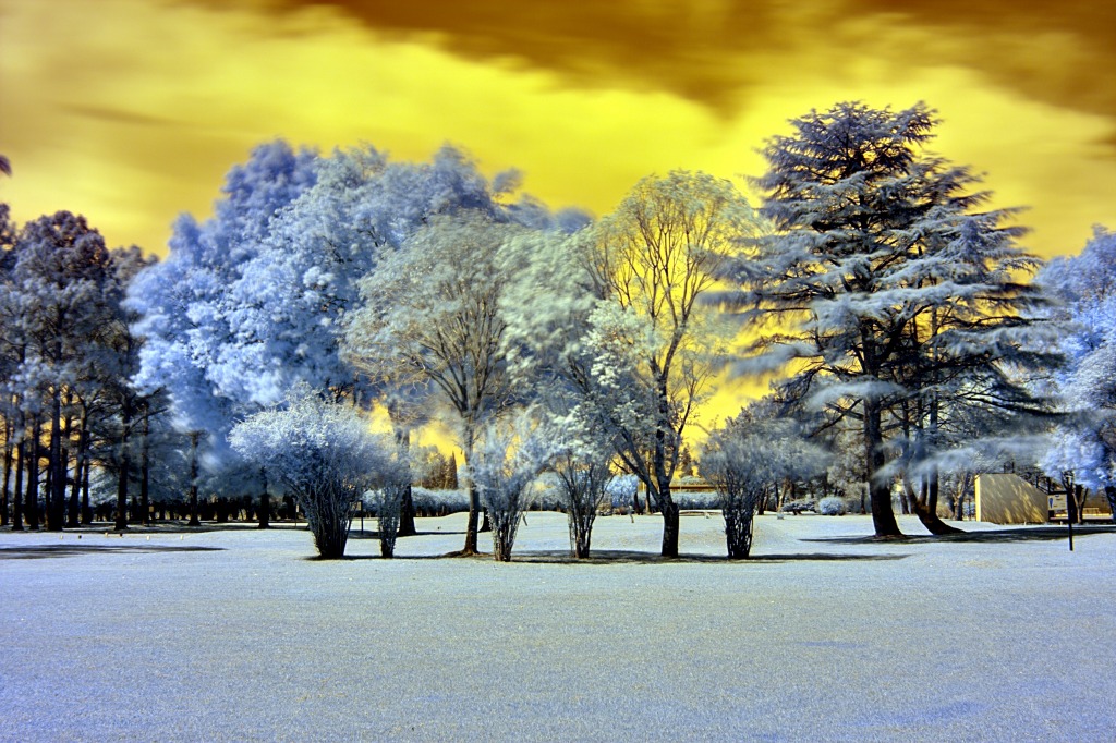 Infrared Golf Course Landscape jigsaw puzzle in Magnifiques vues puzzles on TheJigsawPuzzles.com