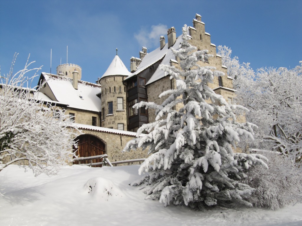 Lichtenstein Castle in Winter jigsaw puzzle in Castles puzzles on TheJigsawPuzzles.com