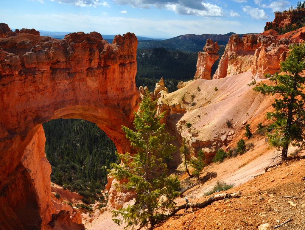 Bryce Canyon National Park, Utah jigsaw puzzle in Puzzle of the Day puzzles on TheJigsawPuzzles.com