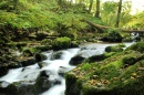 Caldbeck Waterfalls, Cumbria, UK