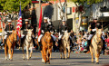 US Marine Corps Mounted Color Guard