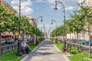 Chernishevskogo Avenue, St. Petersburg