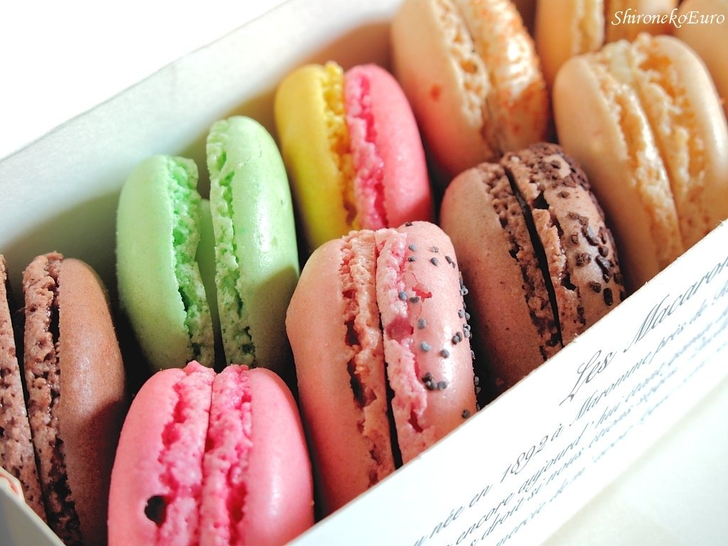 Colorful Macarons jigsaw puzzle in Food & Bakery puzzles on TheJigsawPuzzles.com