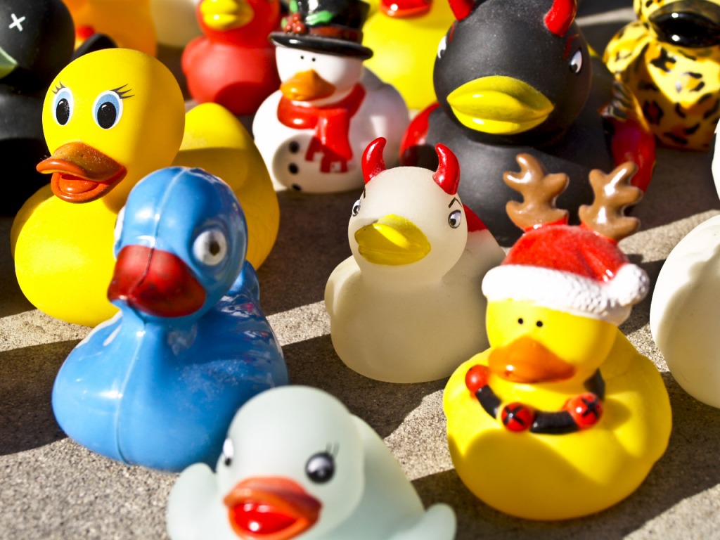 It's a Duck Parade! jigsaw puzzle in Macro puzzles on TheJigsawPuzzles.com