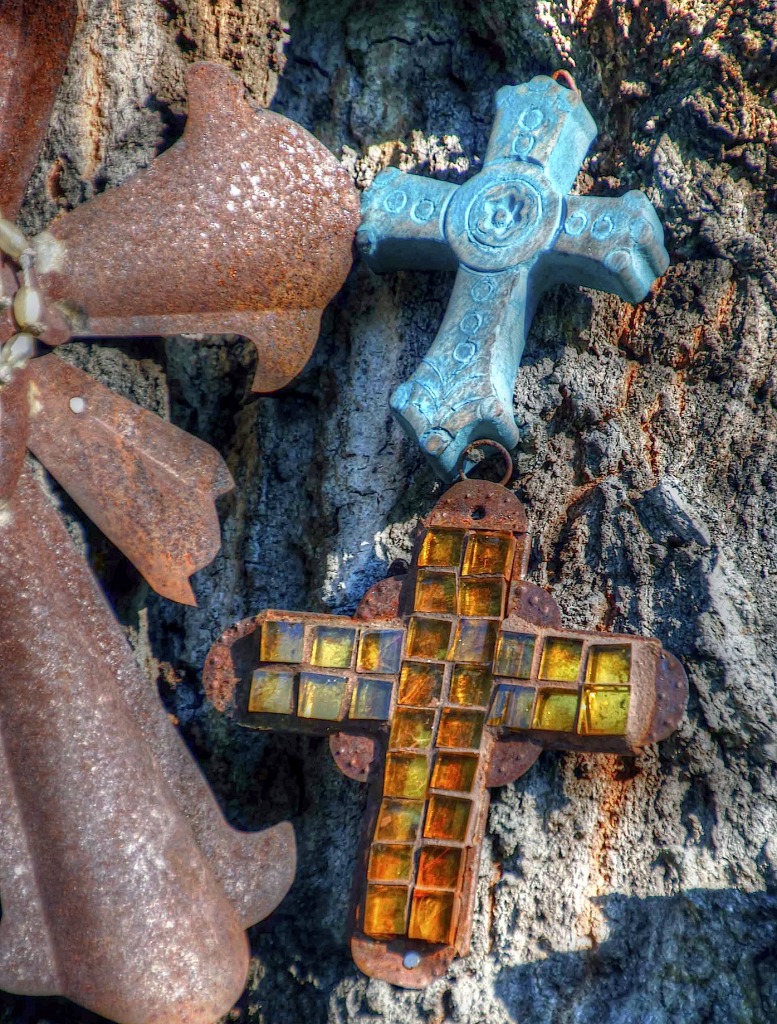 Croix sur un arbre jigsaw puzzle in Macrophotographie puzzles on TheJigsawPuzzles.com
