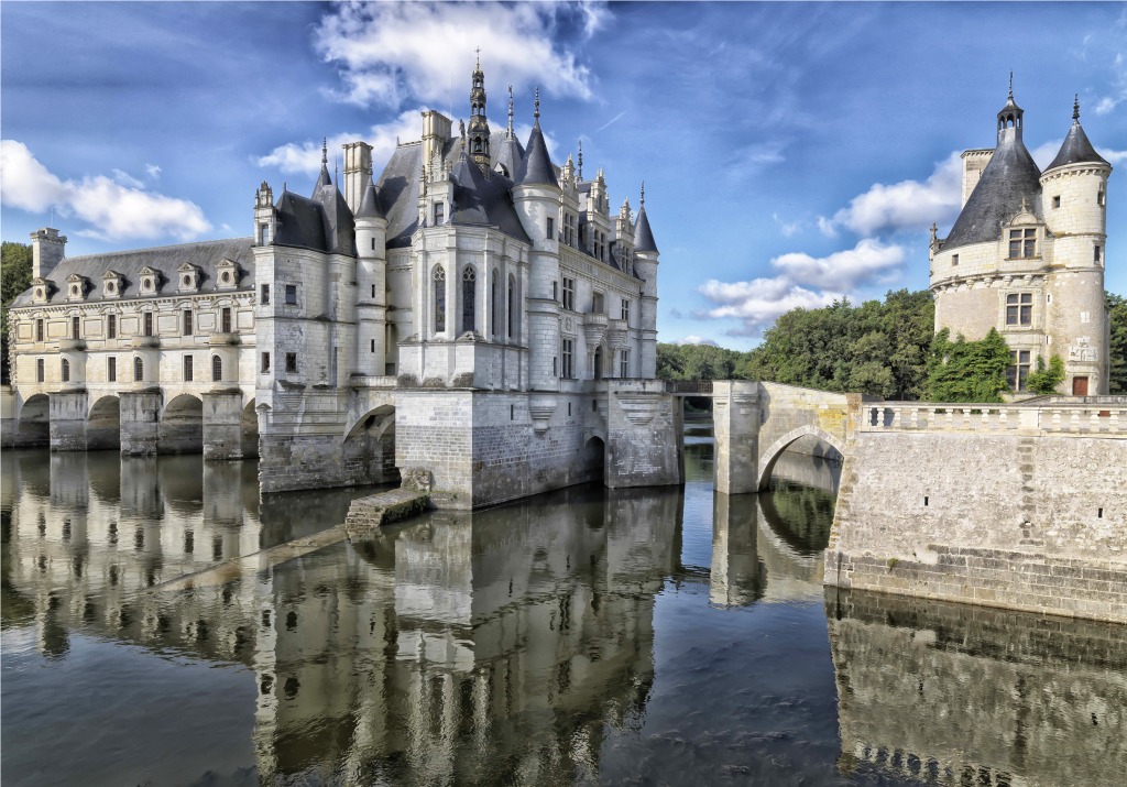 Castelo de Chenonceau, Vale do Loire, França jigsaw puzzle in Castelos puzzles on TheJigsawPuzzles.com