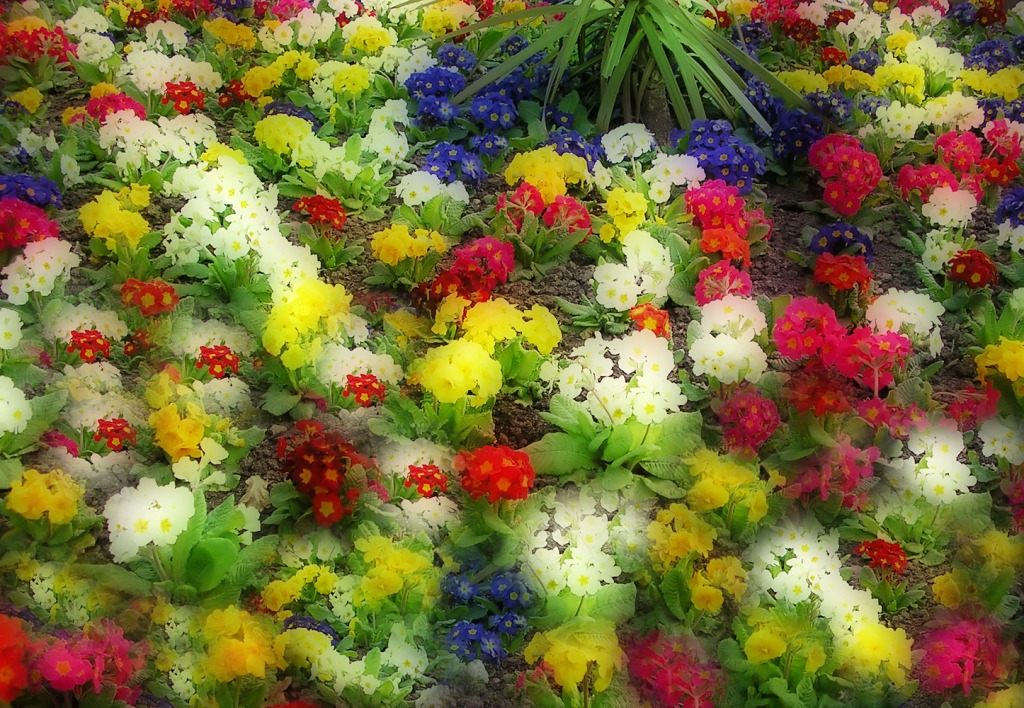 Spring Flowers jigsaw puzzle in Flowers puzzles on TheJigsawPuzzles.com