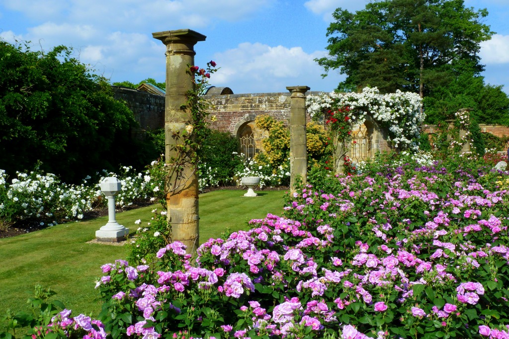 Jardins de Rosas do Castelo de Hever, Inglaterra jigsaw puzzle in Flores puzzles on TheJigsawPuzzles.com