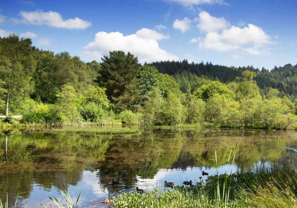 Highland lochan jigsaw puzzle in Derek Corner puzzles on TheJigsawPuzzles.com