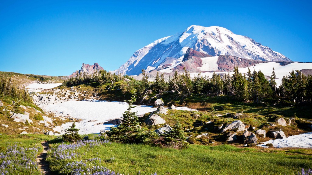 Washington Mountain Landscape jigsaw puzzle in Puzzle of the Day puzzles on TheJigsawPuzzles.com