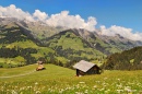 Berner Oberland in Summer