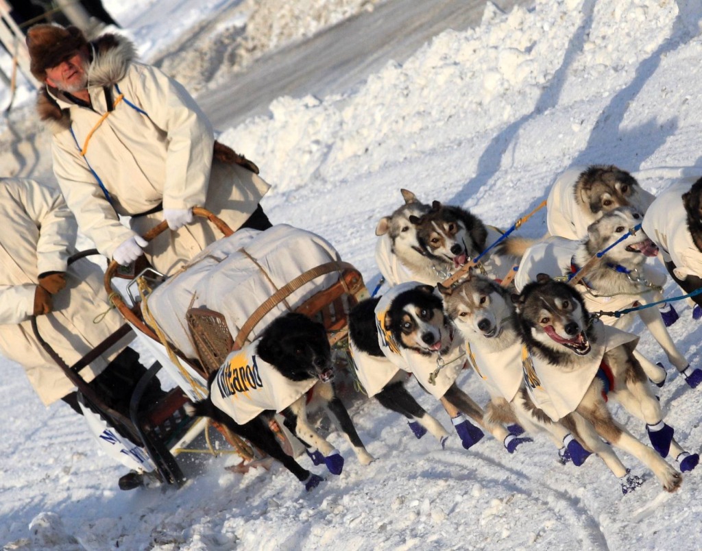 Ceremonial Dog Sled jigsaw puzzle in Puzzle of the Day puzzles on TheJigsawPuzzles.com
