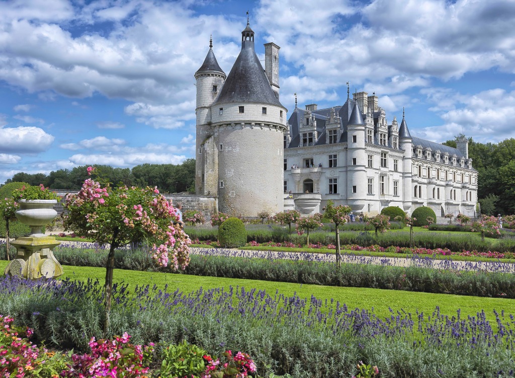 Castelo de Chenonceau, Vale do Loire, França jigsaw puzzle in Castelos puzzles on TheJigsawPuzzles.com
