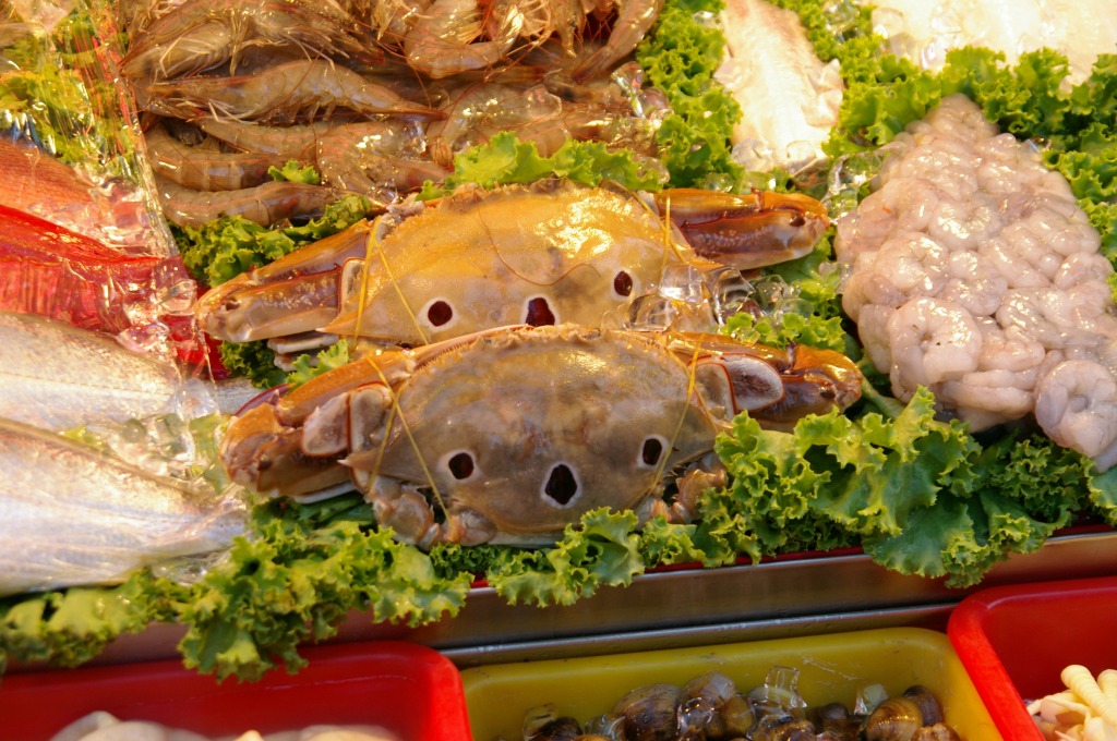 Les crabes ressemblent à des koalas jigsaw puzzle in Nourriture et boulangerie puzzles on TheJigsawPuzzles.com