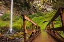 Elowah Falls in Warrendale, Oregon