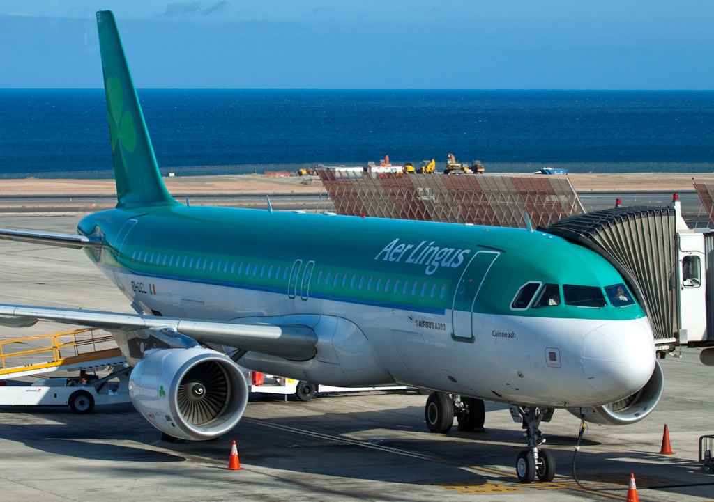 Aer Lingus Airbus A320-214 jigsaw puzzle in Aviation puzzles on TheJigsawPuzzles.com