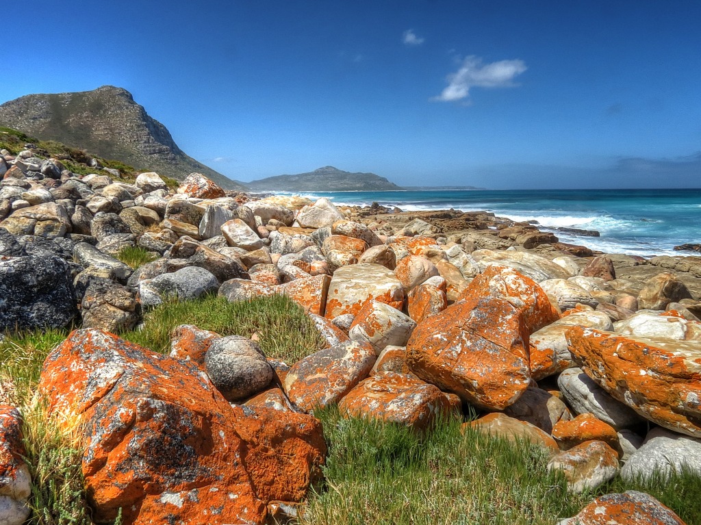 Cape Peninsula jigsaw puzzle in Great Sightings puzzles on TheJigsawPuzzles.com