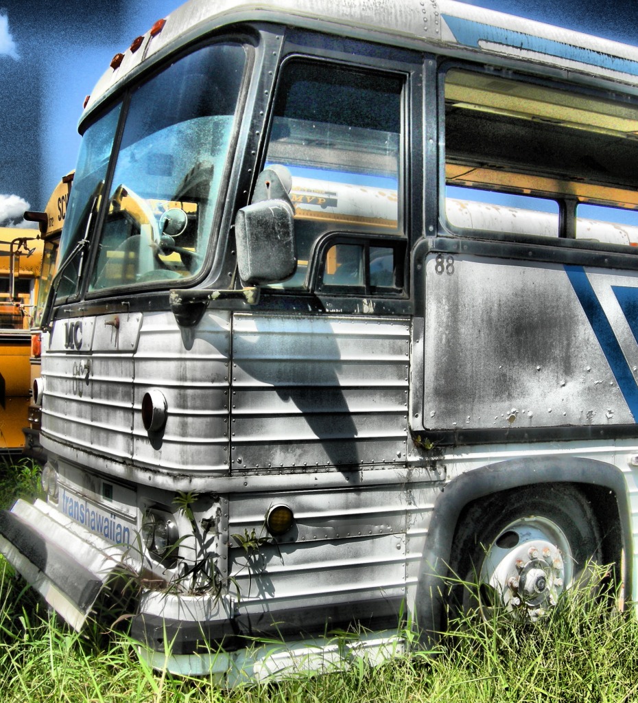 Bus Graveyard jigsaw puzzle in Cars & Bikes puzzles on TheJigsawPuzzles.com
