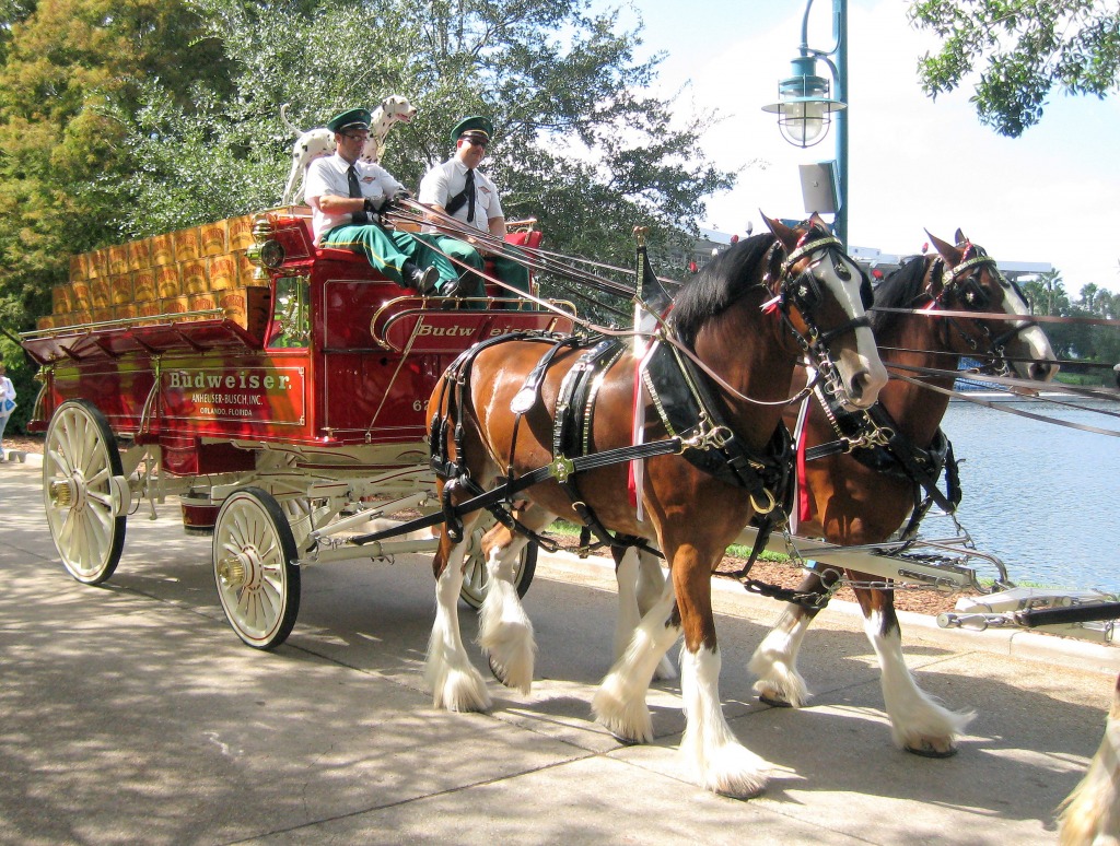 Budweiser Carriage jigsaw puzzle in Animals puzzles on TheJigsawPuzzles.com
