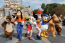Disneyland Band Castle Show