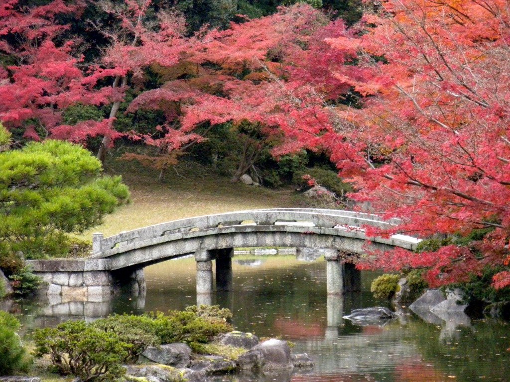 Jardim Sentō-gosho, Quioto jigsaw puzzle in Pontes puzzles on TheJigsawPuzzles.com