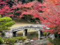 Sentō-gosho Garden, Kyoto