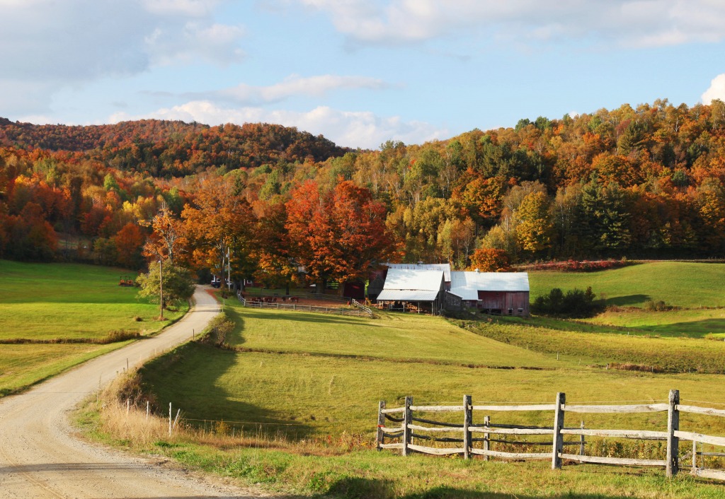 Jenne Farm in Reading, Vermont jigsaw puzzle in Great Sightings puzzles on TheJigsawPuzzles.com