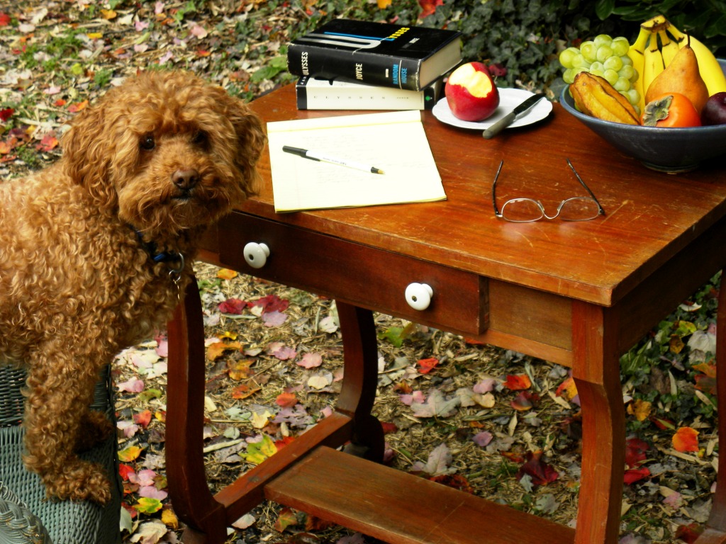 Moby's Writing Table jigsaw puzzle in Fruits & Veggies puzzles on TheJigsawPuzzles.com