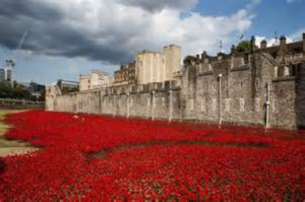 Poppies jigsaw puzzle in David Arnold puzzles on TheJigsawPuzzles.com