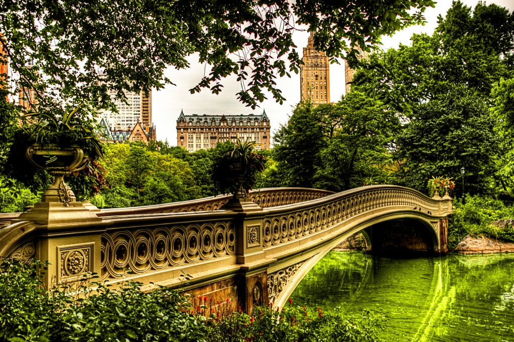 Ponte Bow, Central Park, NYC jigsaw puzzle in Pontes puzzles on TheJigsawPuzzles.com
