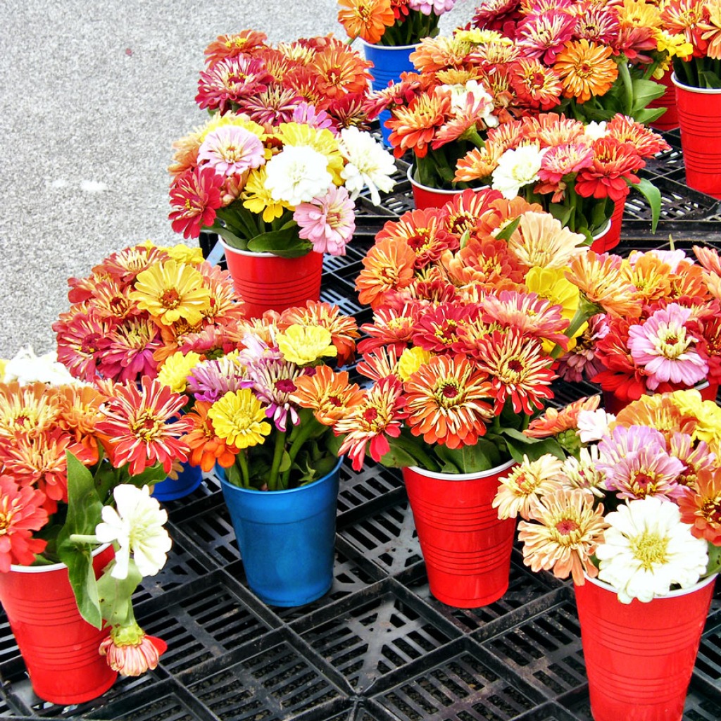 Oak Park Farmer's Market, IL jigsaw puzzle in Flowers puzzles on TheJigsawPuzzles.com
