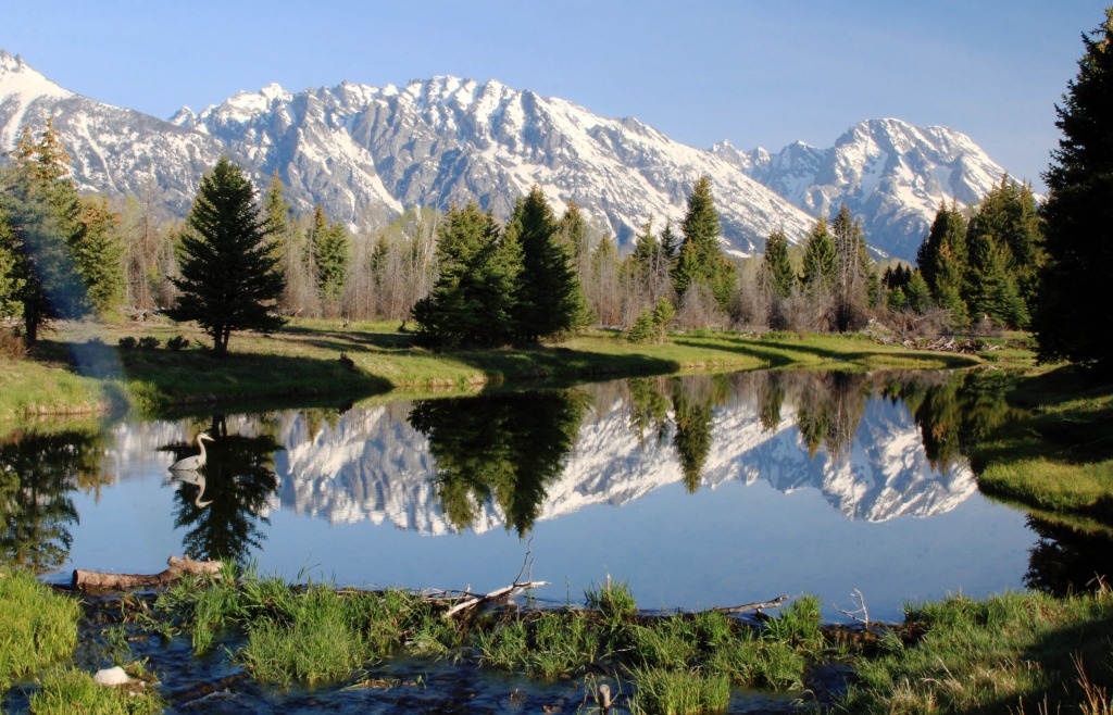 Grand Tetons reflected in a Pond jigsaw puzzle in Great Sightings puzzles on TheJigsawPuzzles.com