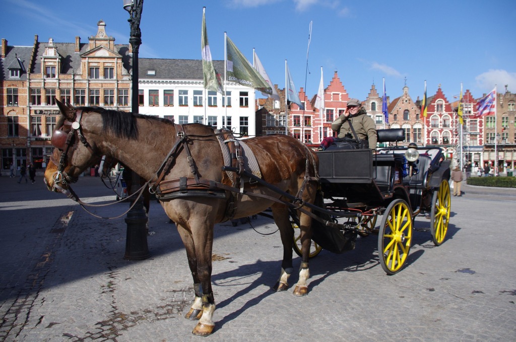 Carriage Rides in Bruges, Belgium jigsaw puzzle in Animals puzzles on TheJigsawPuzzles.com