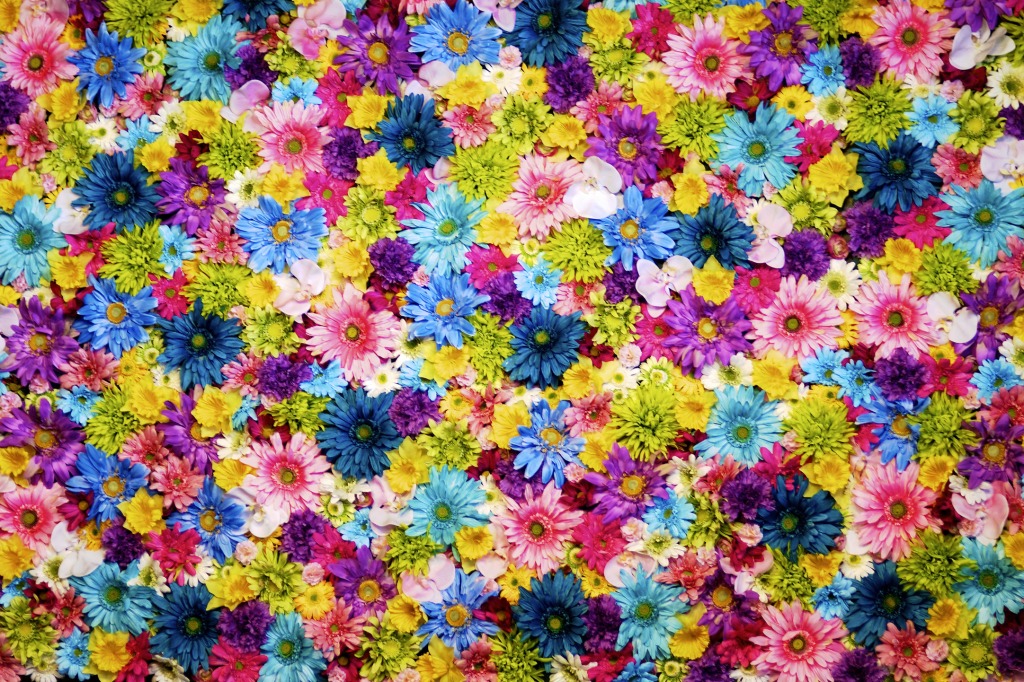 Fleurs de Printemps de Macy jigsaw puzzle in Fleurs puzzles on TheJigsawPuzzles.com