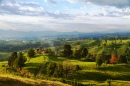 Colombian Landscape