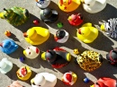 Army of Rubber Duckies