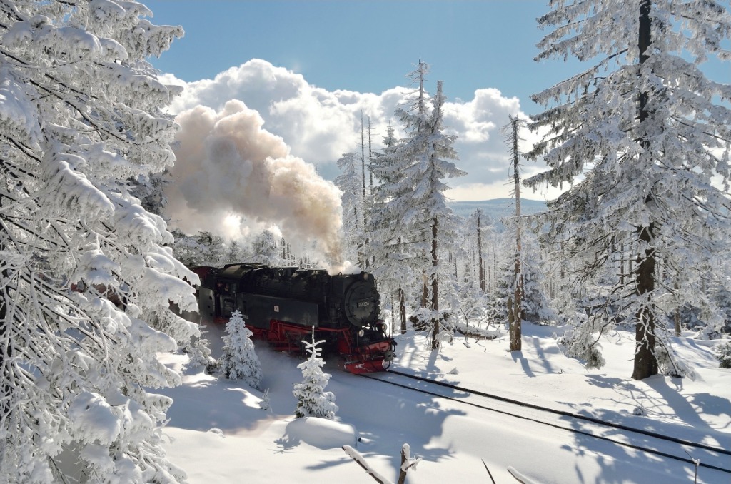 Locomotive à vapeur, Montagnes du Harz jigsaw puzzle in Magnifiques vues puzzles on TheJigsawPuzzles.com
