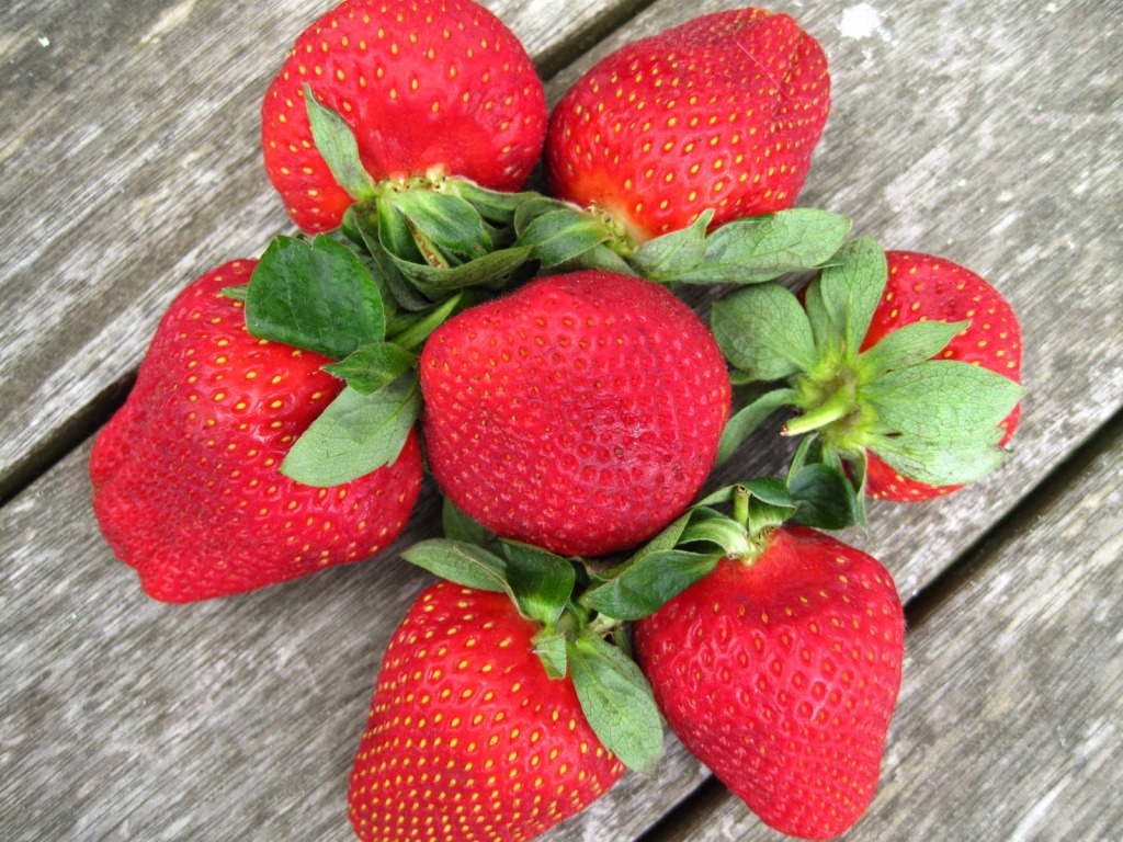 Strawberries on the Picnic Table jigsaw puzzle in Fruits & Veggies puzzles on TheJigsawPuzzles.com