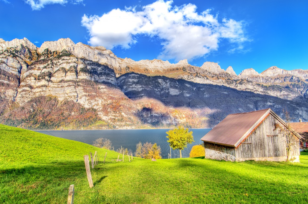 Lac Walensee, Suisse jigsaw puzzle in Magnifiques vues puzzles on TheJigsawPuzzles.com