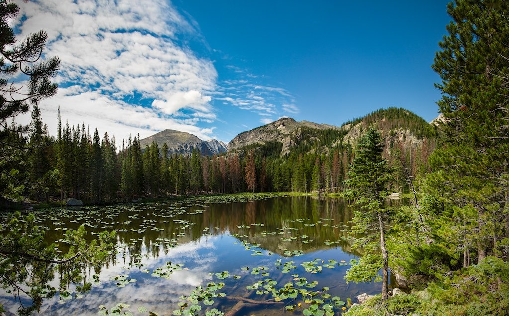 Nymph Lake, Colorado jigsaw puzzle in Great Sightings puzzles on TheJigsawPuzzles.com