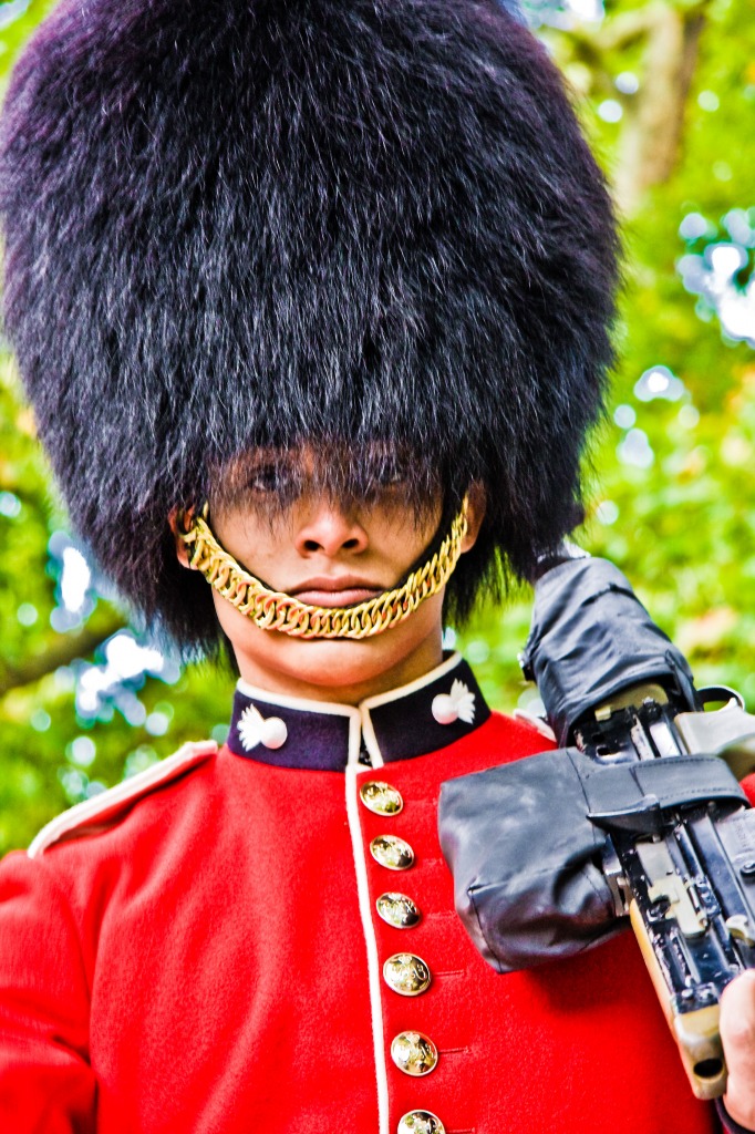 Grenadier Guardsman on Duty jigsaw puzzle in People puzzles on TheJigsawPuzzles.com