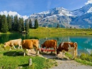 Lake Retaud, Swiss Alps
