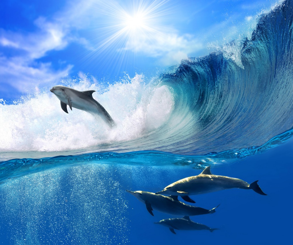 Oceanview with Sunlight jigsaw puzzle in Animals puzzles on TheJigsawPuzzles.com