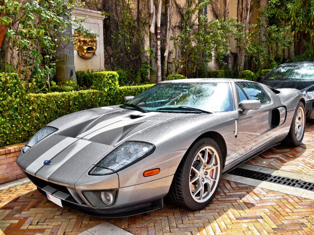 Ford GT Tungsten, Edition limitée jigsaw puzzle in Voitures et Motos puzzles on TheJigsawPuzzles.com