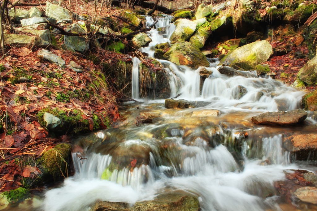 Stream along the Katellen Trail jigsaw puzzle in Waterfalls puzzles on TheJigsawPuzzles.com