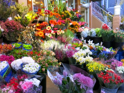 Castro District, San Francisco jigsaw puzzle in Flowers puzzles on ...