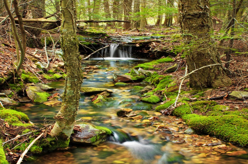 Bald Eagle State Forest, Clinton County jigsaw puzzle in Waterfalls puzzles on TheJigsawPuzzles.com